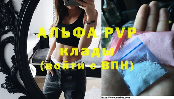 apvp Алзамай