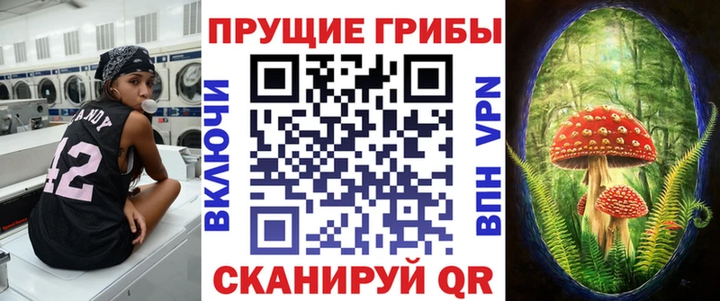 как найти закладки  Бугуруслан  Галлюциногенные грибы MAGIC MUSHROOMS 