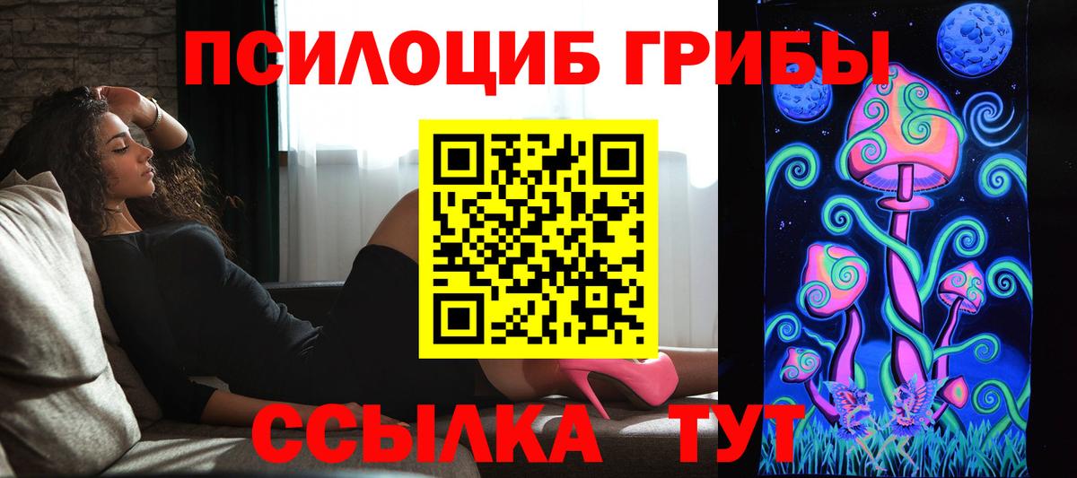 Галлюциногенные грибы GOLDEN TEACHER  Галлюциногенные грибы Cubensis  Вход с VPN  Бугуруслан 