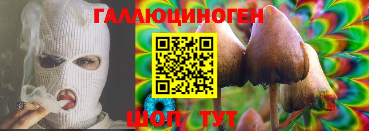 Галлюциногенные грибы мицелий Бугуруслан